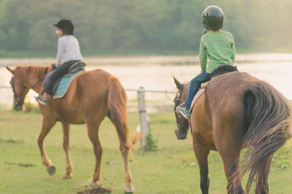 niños montando a caballo por el prado