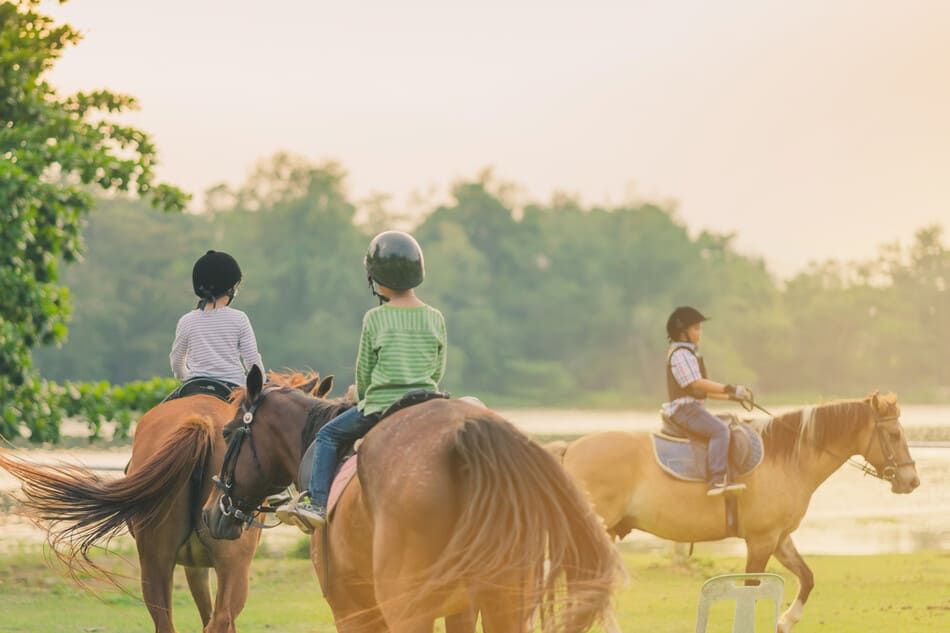 grupo de niños a caballo por el prado